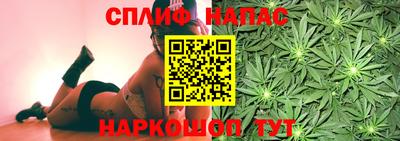 ПСИЛОЦИБИНОВЫЕ ГРИБЫ Можга