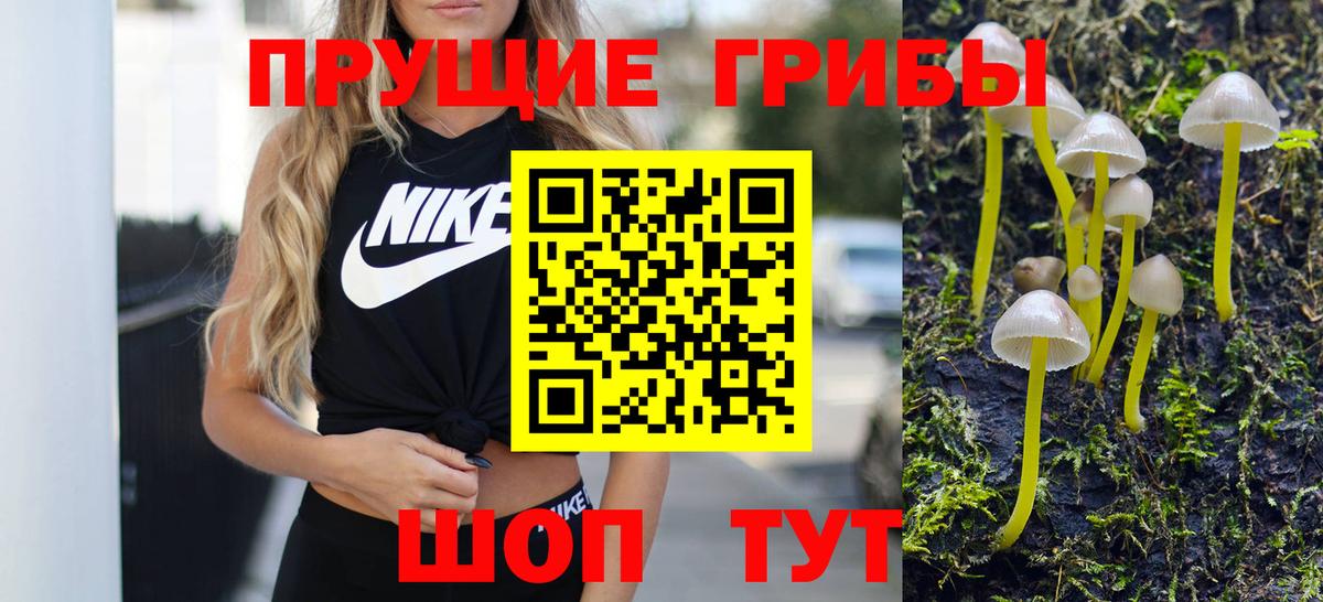 хочу   Вход с VPN  Верхняя Салда  Псилоцибиновые грибы прущие грибы 